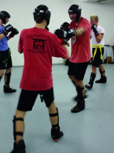 SeiShinTai-Kampfsport-11 (1)